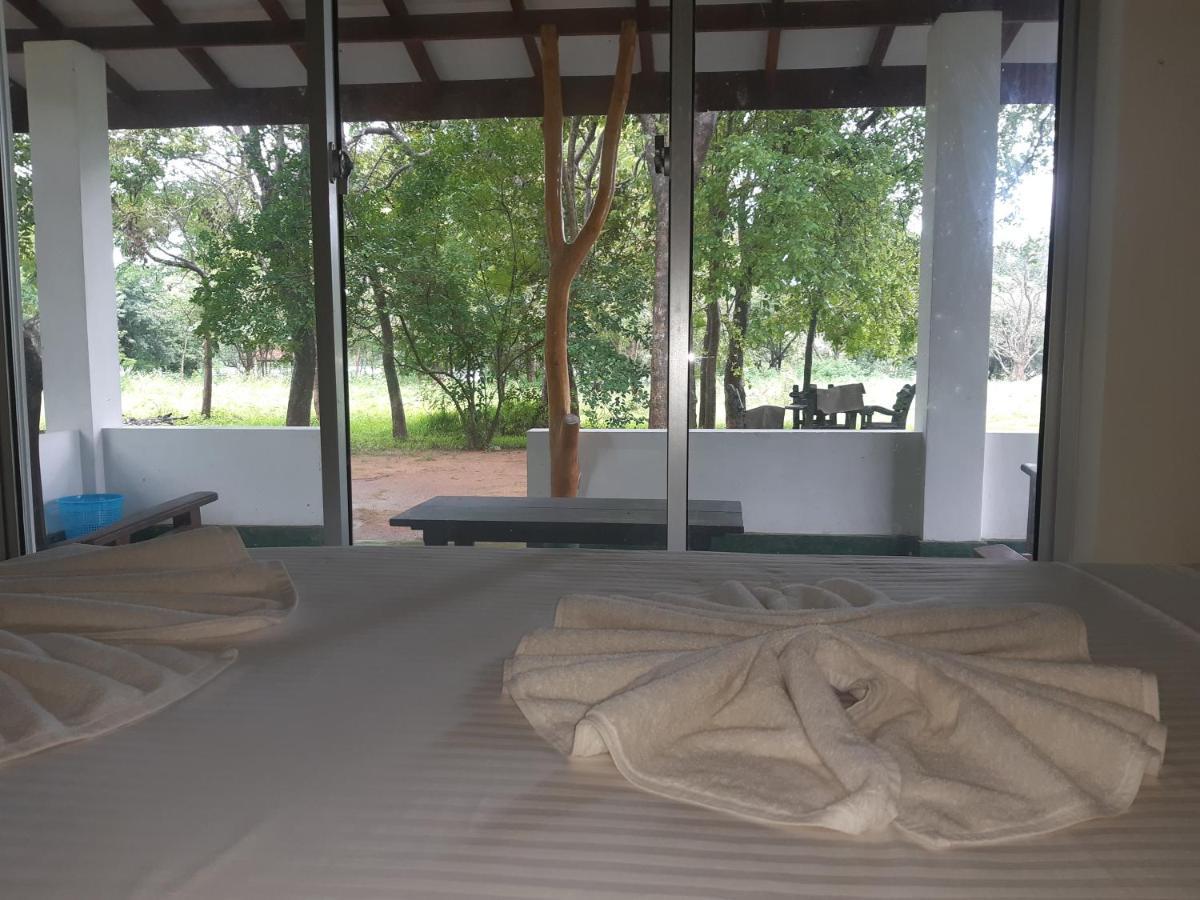 Banana Rest Sigiriya Bed & Breakfast Luaran gambar