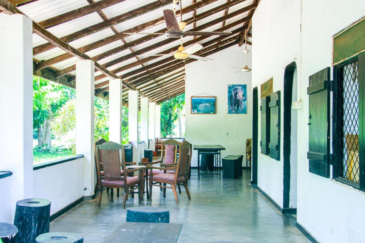 Banana Rest Sigiriya Bed & Breakfast Luaran gambar