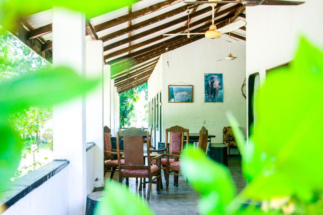 Banana Rest Sigiriya Bed & Breakfast Luaran gambar