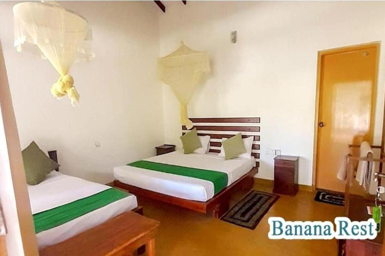 Banana Rest Sigiriya Bed & Breakfast Luaran gambar