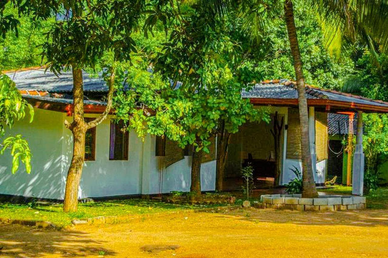 Banana Rest Sigiriya Bed & Breakfast Luaran gambar