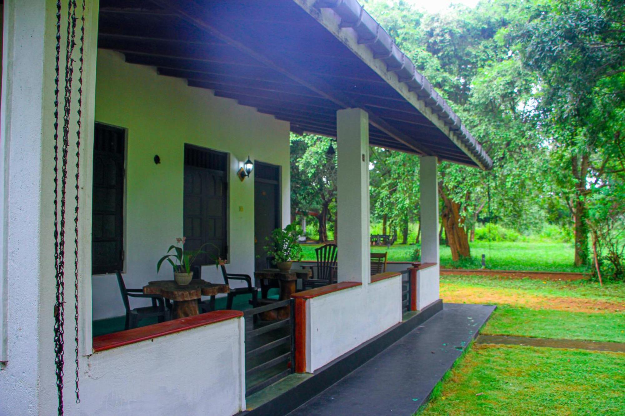 Banana Rest Sigiriya Bed & Breakfast Luaran gambar