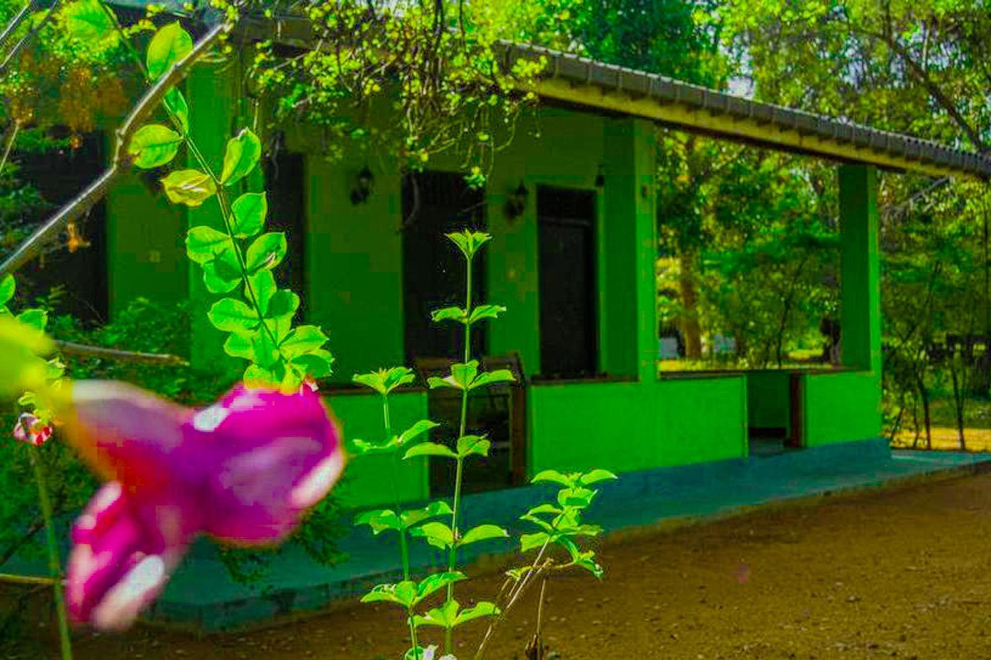 Banana Rest Sigiriya Bed & Breakfast Luaran gambar
