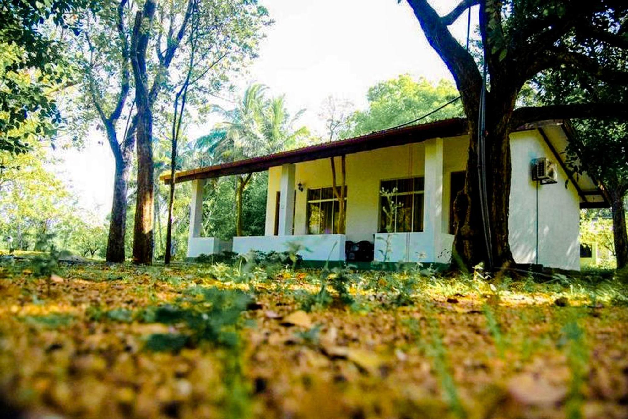 Banana Rest Sigiriya Bed & Breakfast Luaran gambar
