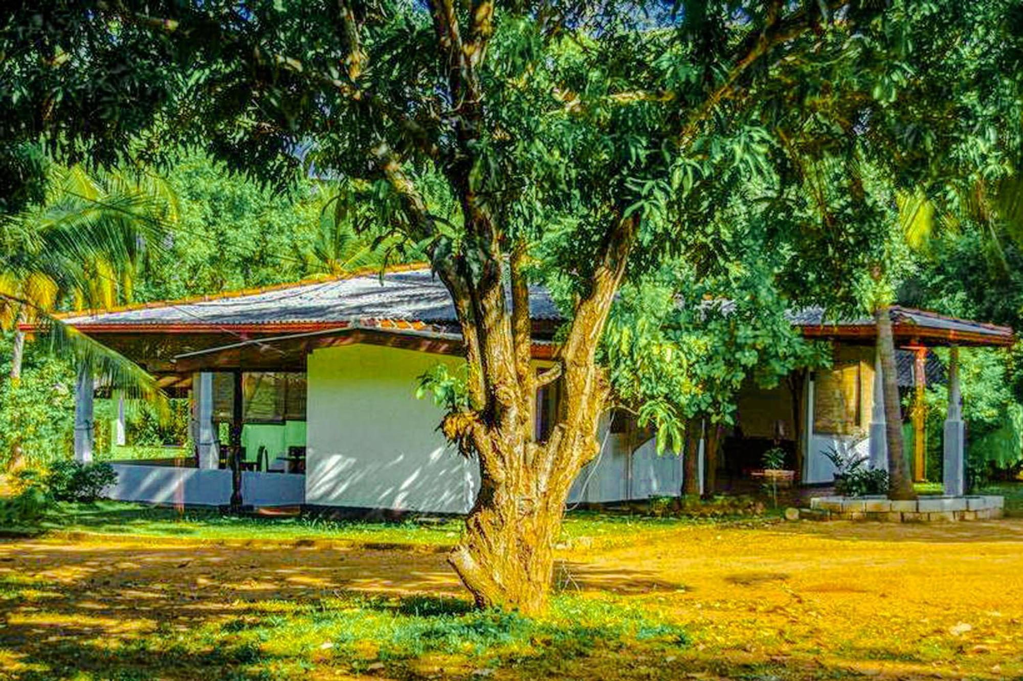 Banana Rest Sigiriya Bed & Breakfast Luaran gambar