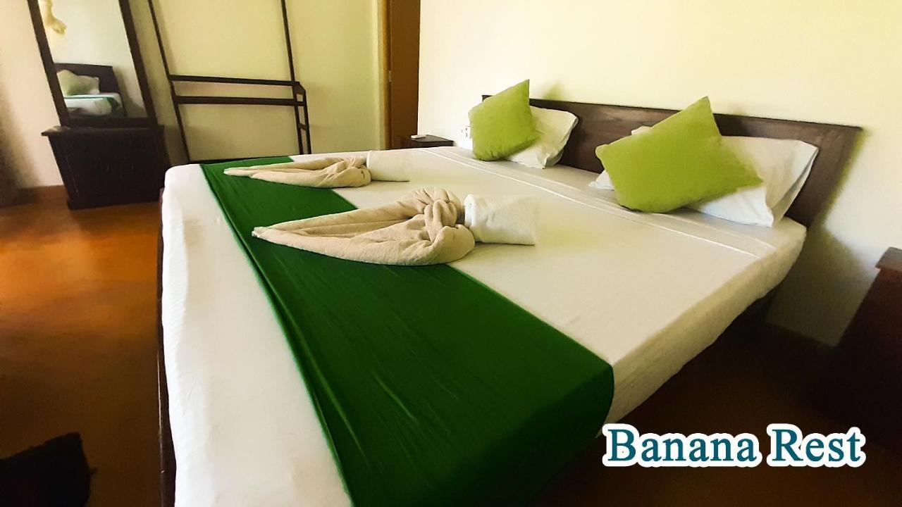 Banana Rest Sigiriya Bed & Breakfast Luaran gambar