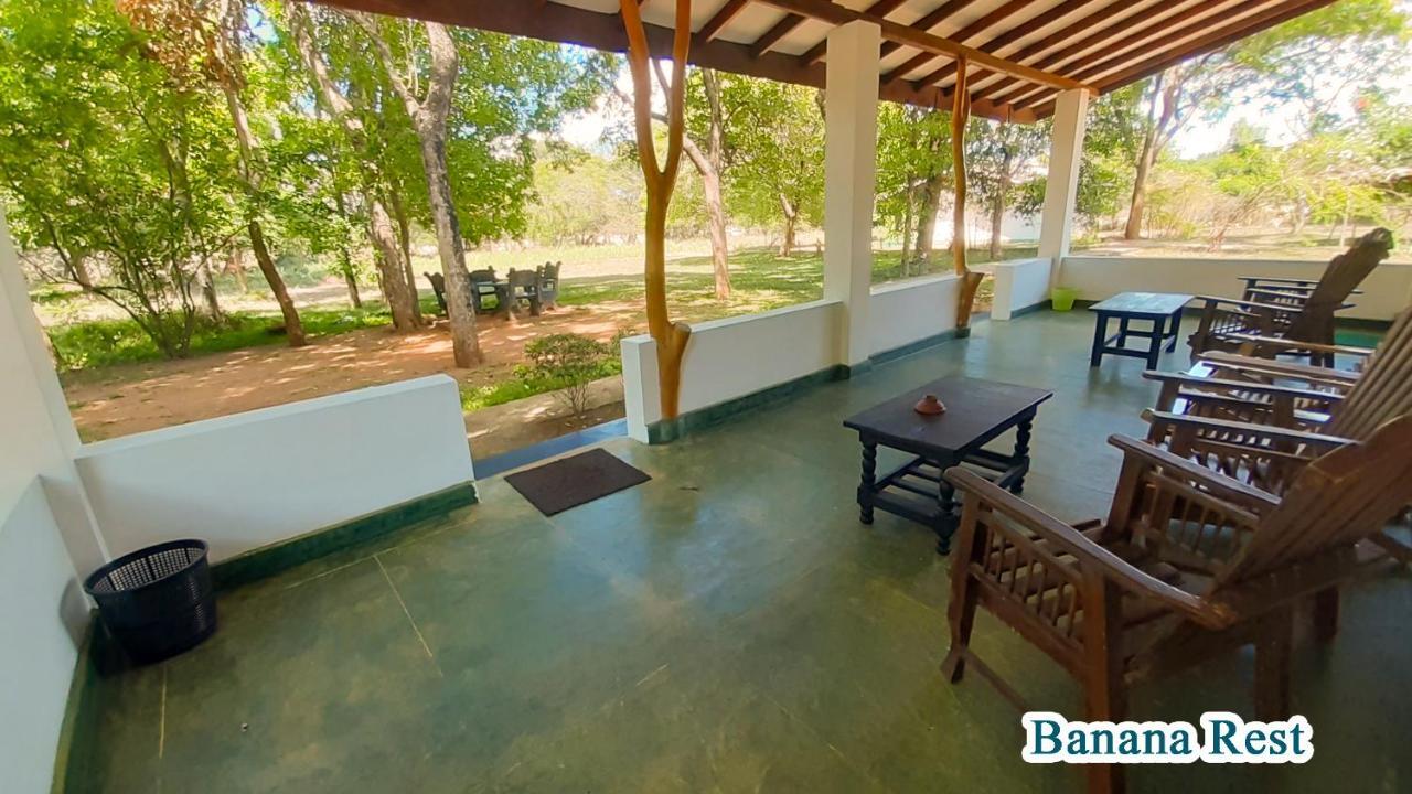 Banana Rest Sigiriya Bed & Breakfast Luaran gambar