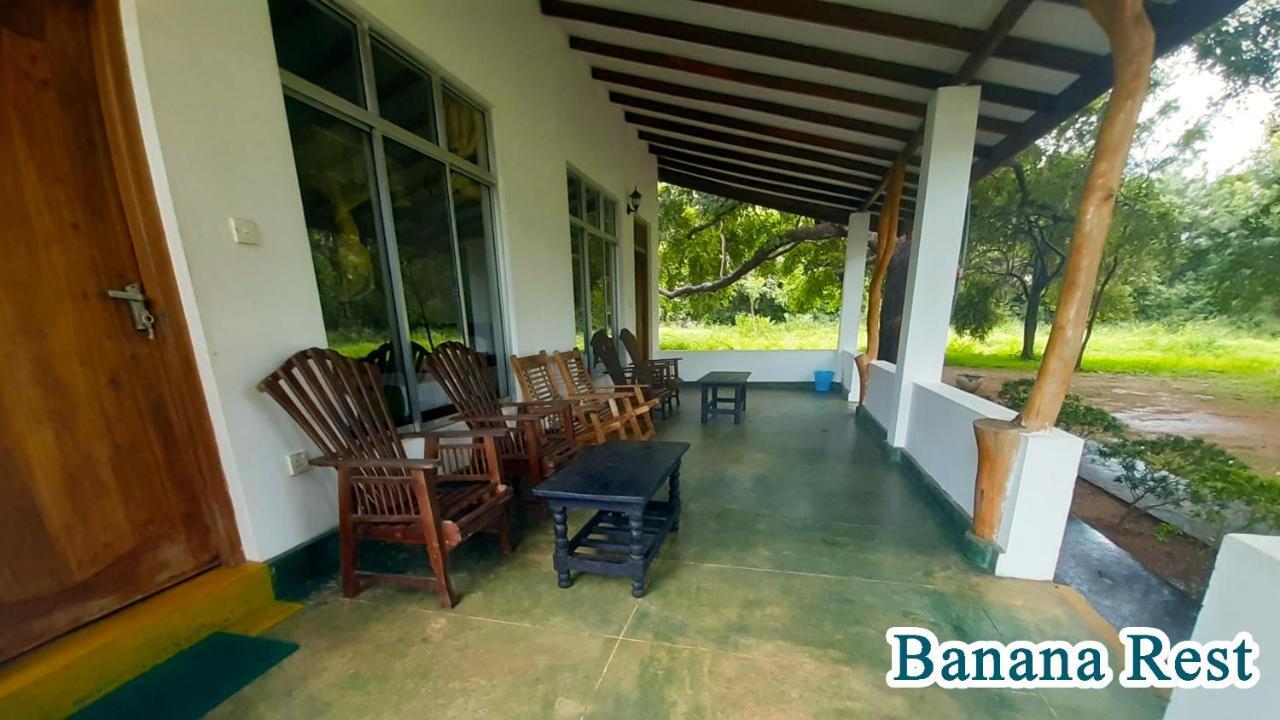 Banana Rest Sigiriya Bed & Breakfast Luaran gambar