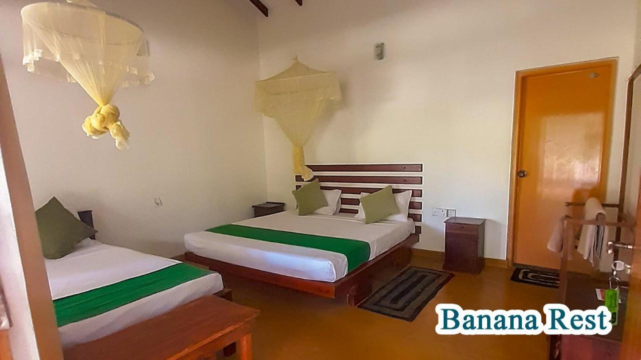 Banana Rest Sigiriya Bed & Breakfast Luaran gambar